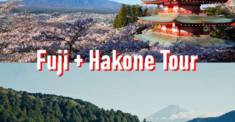 Tokyo to Mount Fuji and Hakone: Private Full-Day Tour