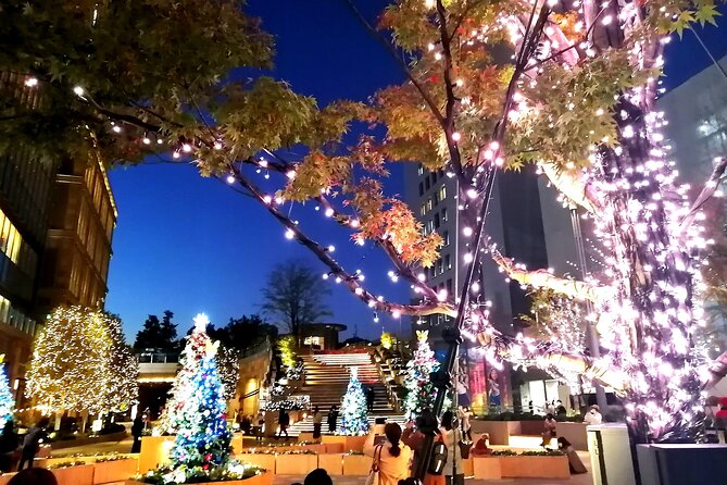 Tokyo Winter Illumination Tour