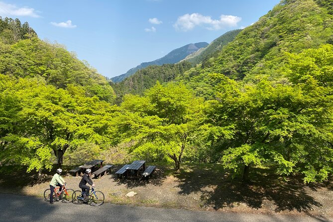 Tokyos Hidden Nature Cycling Tour – Okutama Historical Road Tour