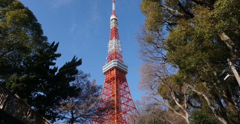 Top 3 Hidden Tokyo Tower Photo Spots and Local Shrine Tour