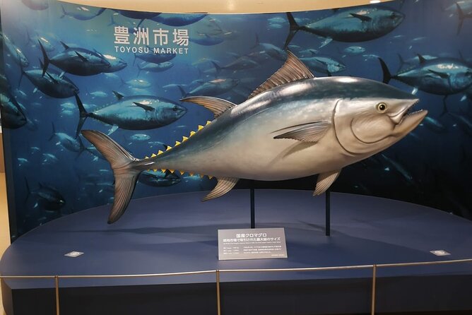 Tuna Auction and Tokyo Toyosu Fish Market Tour