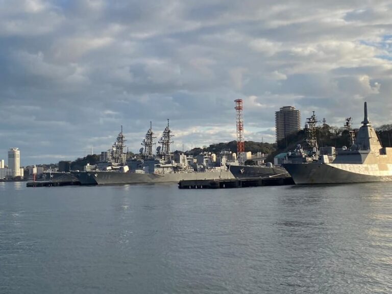 Yokosuka: Uninhabited Island and the Cruise of Naval Port