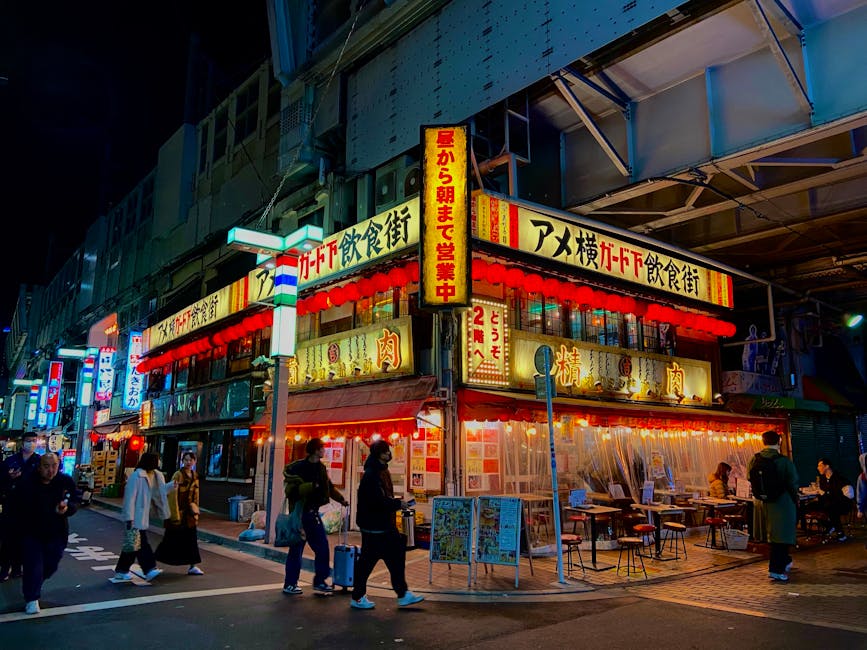 The Ameyoko market district in Ueno, Tokyo, at night