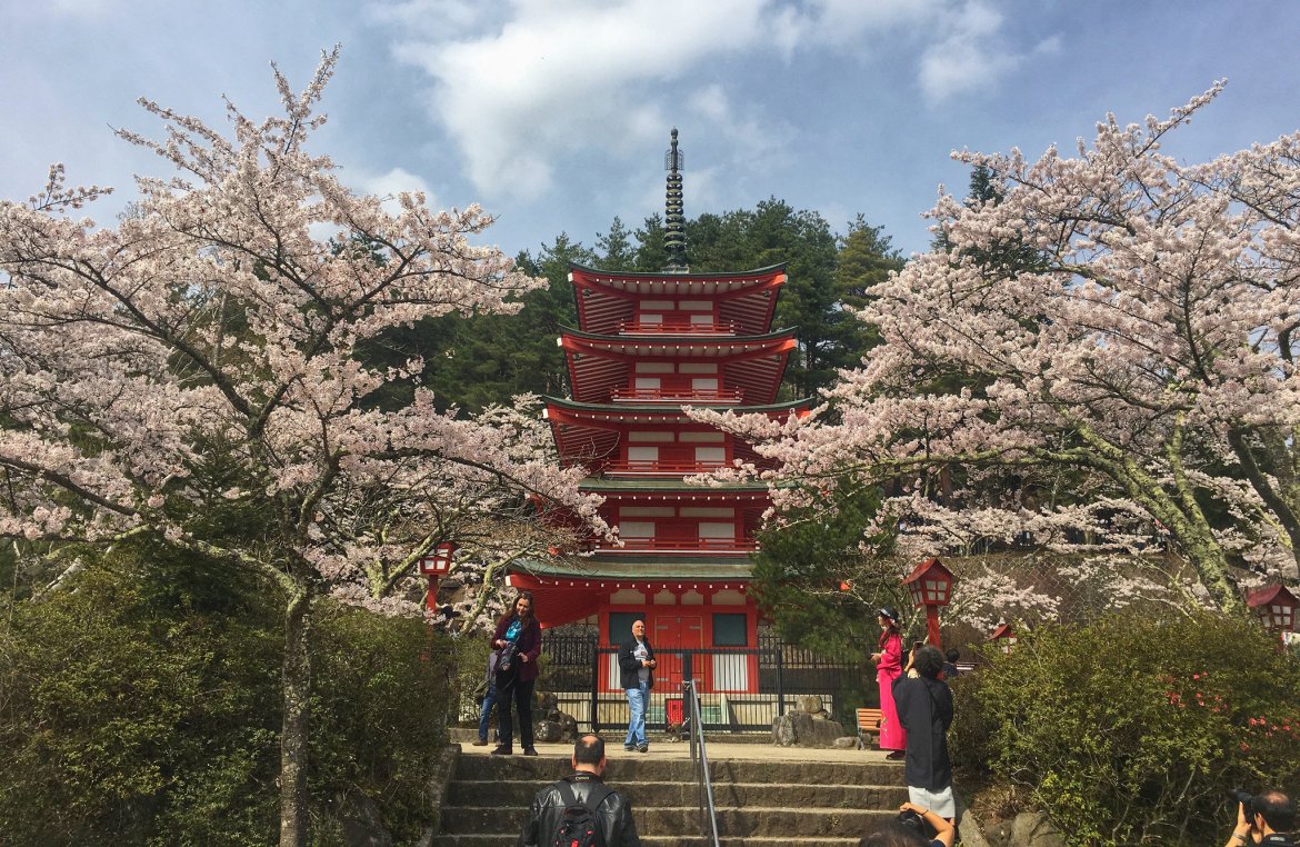 Chureito Pagoda with Mt Fuji in background