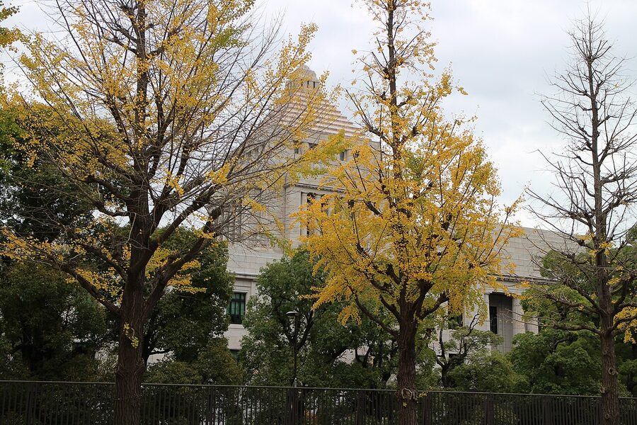 National Diet Building, Tokyo