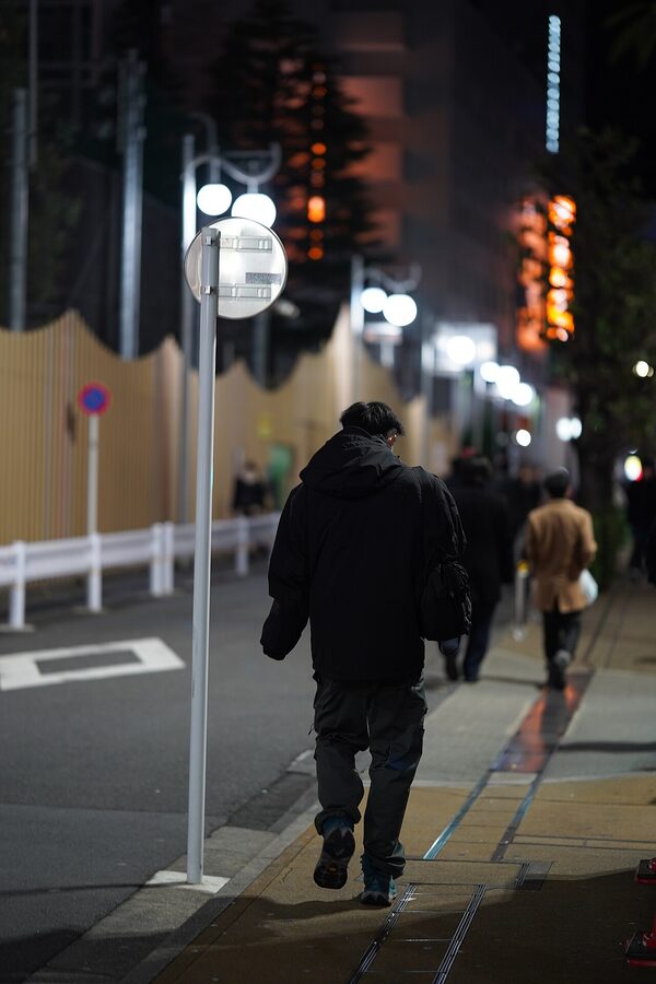 Okubo Park at night, alternative view