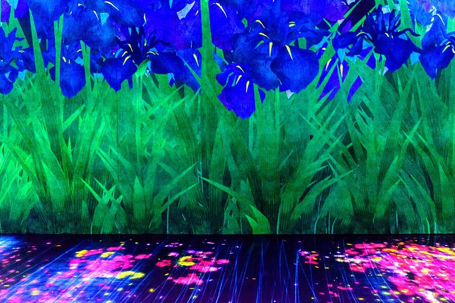 teamLab Borderless, Odaiba, Tokyo, Japan — interior, May 2019