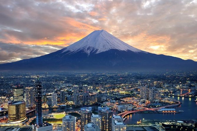 1 Day Charter Tour to Mt Fuji View - Key things to know before booking