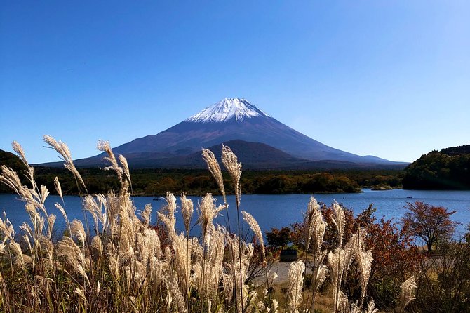 1 Day Charter Tour to Mt Fuji View - A private road day from Tokyo to Mt Fuji