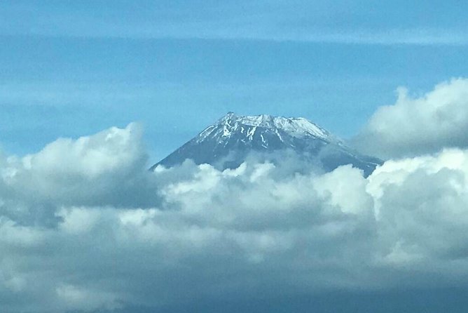 1 Day Charter Tour to Mt Fuji View - Oshino Hakkai: Fuji water and a short cultural stop