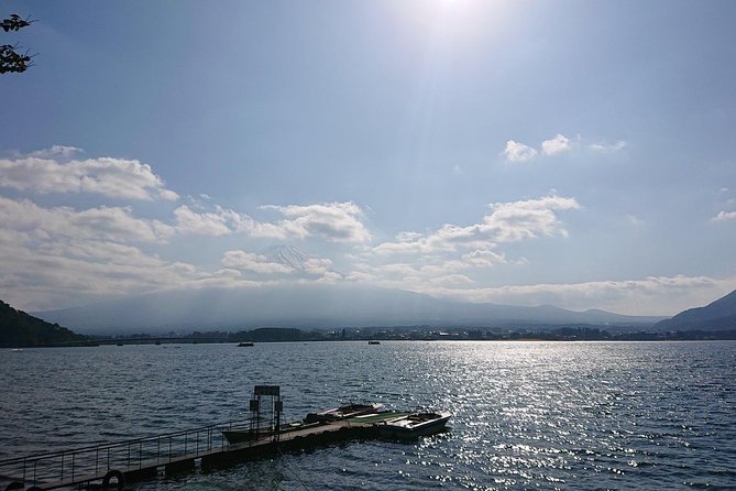 1 Day Charter Tour to Mt Fuji View - Oishi Park for photographs across the lake