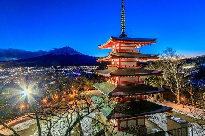 1 Day Charter Tour to Mt Fuji View - Hakone or the Fuji Five Lakes area?