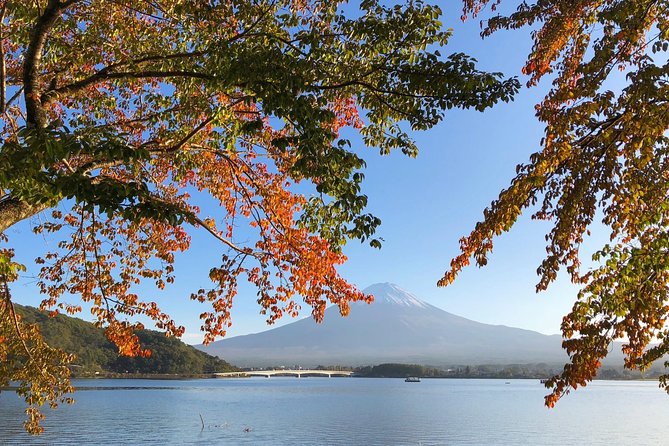 1 Day Charter Tour to Mt Fuji View - The driver matters more than the vehicle