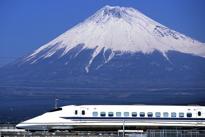 1 Day Charter Tour to Mt Fuji View - What the price includes, and what it does not