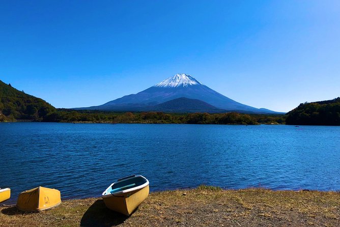 1 Day Charter Tour to Mt Fuji View - Arakura Fuji Sengen Shrine and the famous pagoda view
