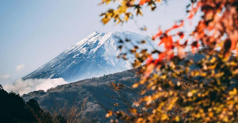 1-Day Mt Fuji Sightseeing trip from Tokyo - Fuji Subaru Line 5th Station, the high viewpoint