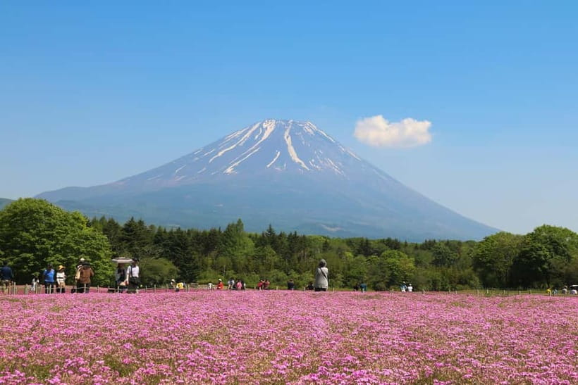 1-Day Mt Fuji Sightseeing trip from Tokyo - Oshino Hakkai and a slower hour between views