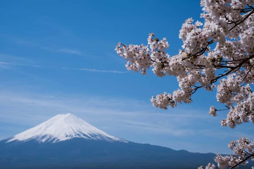 1-Day Mt Fuji Sightseeing trip from Tokyo - What the $476 group price really buys