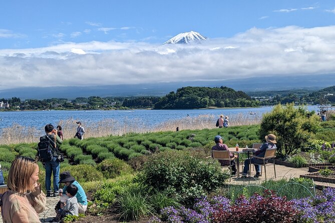 1 Day Private Mt Fuji & Lake Kawaguchiko English Speaking Driver - Chureito Pagoda and the 400-step climb
