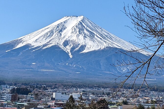 1 Day Private Mt Fuji & Lake Kawaguchiko English Speaking Driver - Riding the Mt. Fuji Panoramic Ropeway