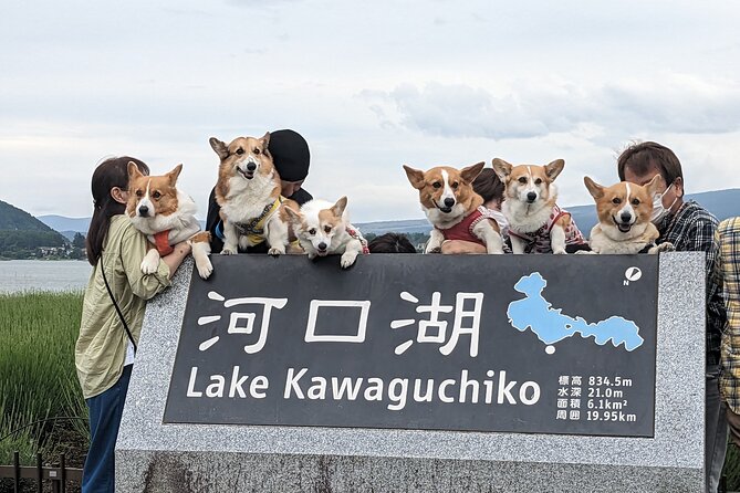 1 Day Private Mt Fuji & Lake Kawaguchiko English Speaking Driver - Oishi Park’s seasonal flowers