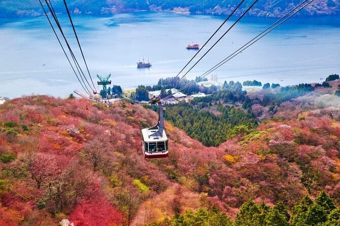 1 Day Private Tour to Hakone-Gotemba With English Speaking Driver - What the English-speaking driver adds