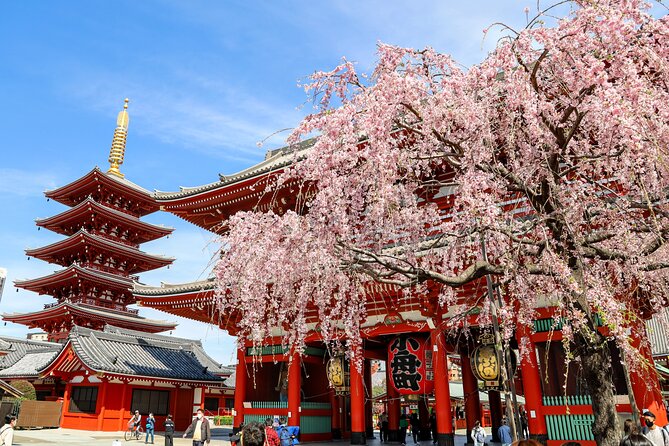 1-Day Tokyo Bus Tour - At a glance