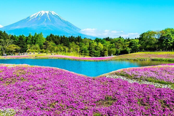 1 Day Tour Explore Nikko’s World Heritage and National Park - Toshogu Shrine: the centerpiece of the day