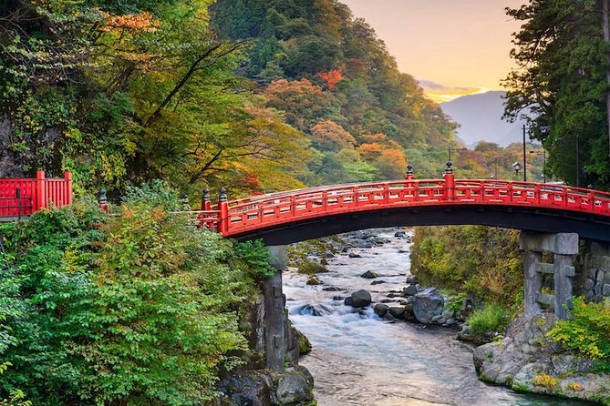 1 day tour to Nikko from Tokyo by chartered car - Key things to know before booking