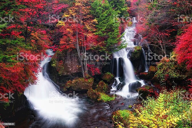 1 day tour to Nikko from Tokyo by chartered car - Toshogu Shrine, Nikko’s ornate starting point