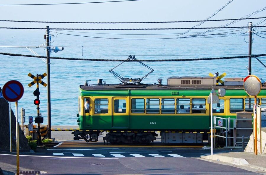 1-Day trip: Kamakura City (Enoshima/Shonan/Beach) - Jogashima Prefectural Park for a wider coastal view