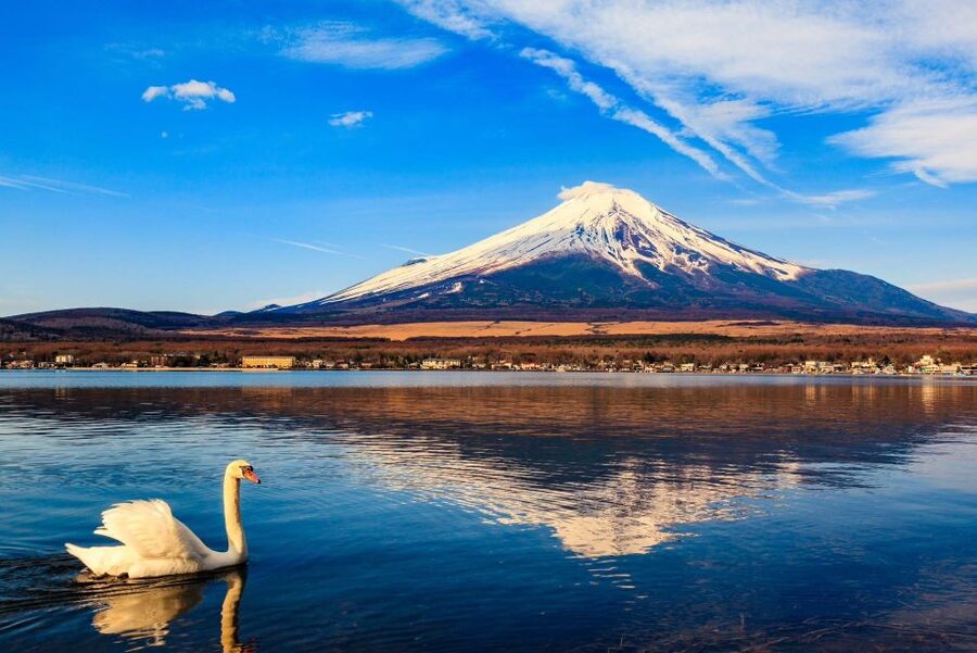 1-Day trip: Mt Fuji + Kawaguchi Lake area - From Tokyo to Lake Kawaguchi in two hours