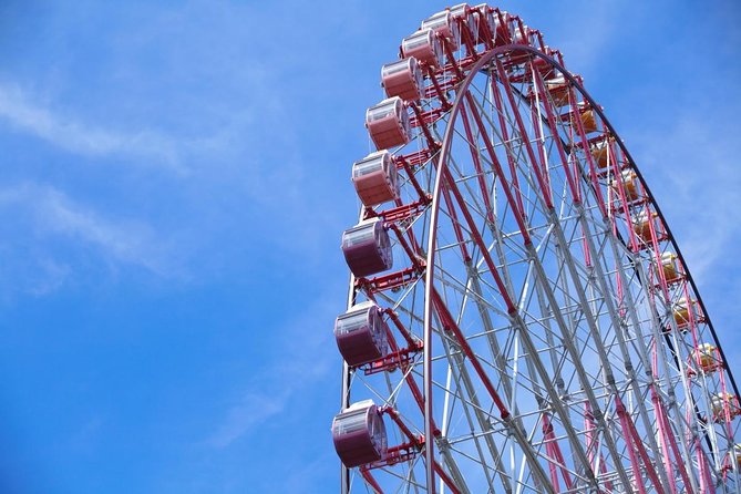【10 mins】Tokyo Helicopter Tour + Private Car Pickup & Drop off - Who Should Choose This Flight?