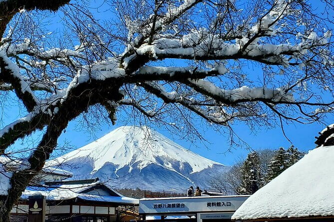 2 Days Tokyo ,Mount Fuji / Hakone Private Tour from Tokyo - Why this private two-day plan works