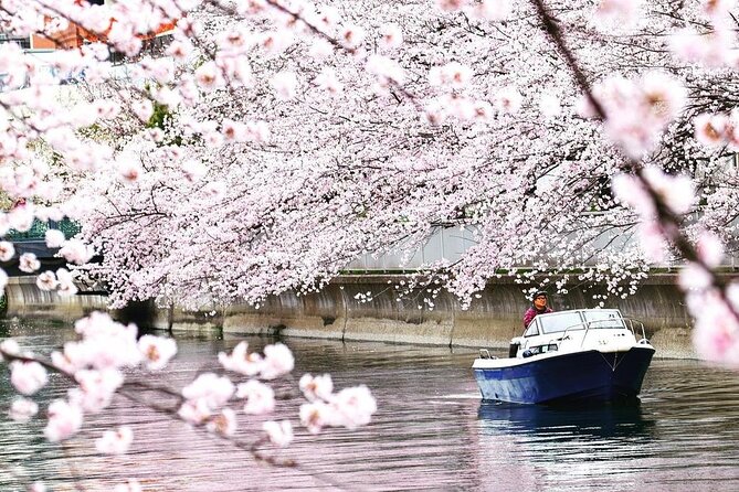 2 Hours Private Cruising Boat Tour;Tokyo Bay & River - Hamarikyu and old Tokyo beside modern Tokyo