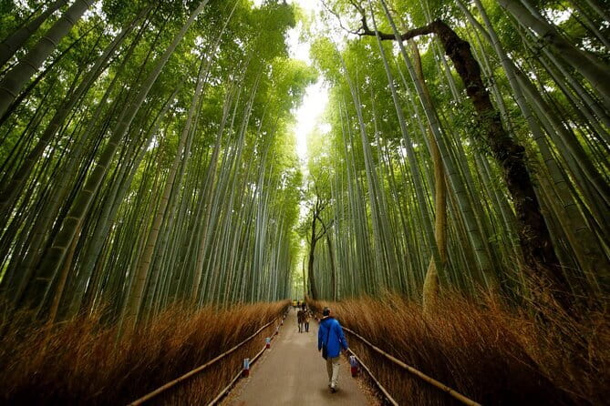 3 Day Japan Tour Kyoto, Osaka & Nara from Tokyo - Key points to know before booking