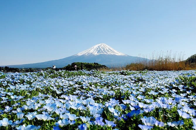3 Days Tokyo, Mt. Fuji and Hakone Private Tour from Tokyo - Key points to know before booking