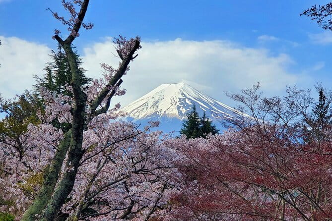 3 Days Tokyo, Mt. Fuji and Hakone Private Tour from Tokyo - Why private transport changes this three-day plan