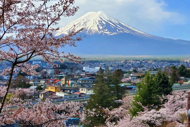 3 Days Tokyo, Mt. Fuji and Hakone Private Tour from Tokyo - Day one: Tokyo from Tsukiji seafood to Harajuku style