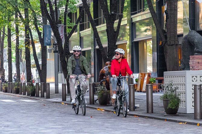 3-Hour Tokyo Private E-Bike Tour Starting from Your Hotel - Key points to know before you book