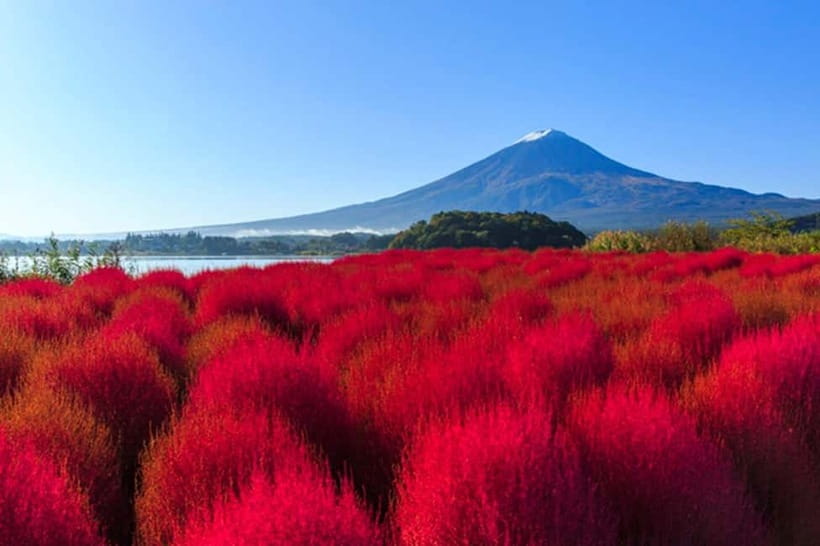 3-Row Luxury Bus Tour to Mt. Fuji, Lake Kawaguchi from Tokyo - Key points to know before booking