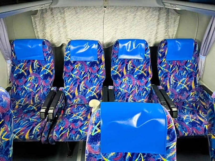 3-Row Luxury Bus Tour to Mt. Fuji, Lake Kawaguchi from Tokyo - Oishi Park, flowers, and a wide Fuji view