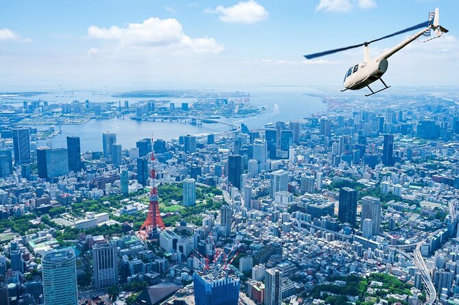 30-Min Tokyo Central Private Heli Tour– Asakusa, Skytree, Shibuya - Tokyo from above, not from another observation deck