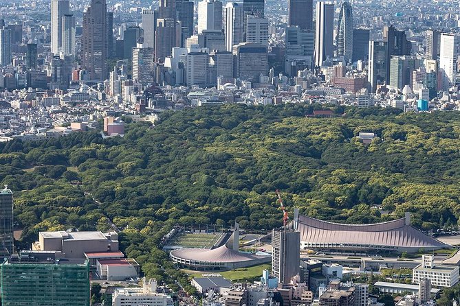 30-Min Tokyo Central Private Heli Tour– Asakusa, Skytree, Shibuya - Is $1,887.77 a fair price?