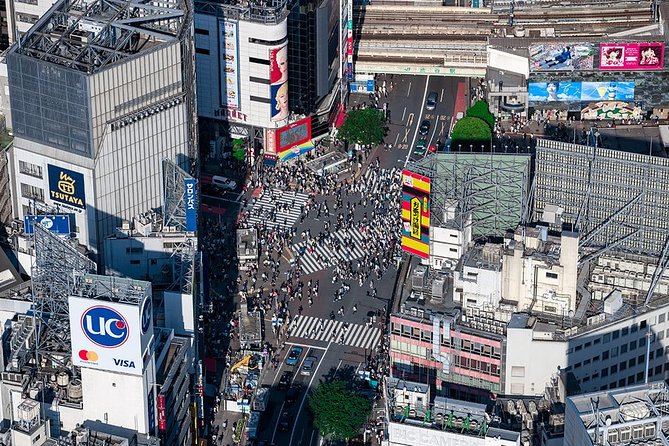 30-Min Tokyo Central Private Heli Tour– Asakusa, Skytree, Shibuya - Who will enjoy this Tokyo helicopter flight