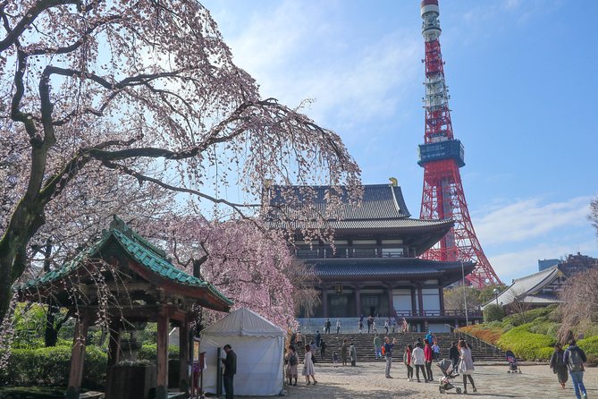 5-Hour Tokyo & Edo Hidden Gem Bike Tour with Lunch - A practical ride through old and modern Tokyo