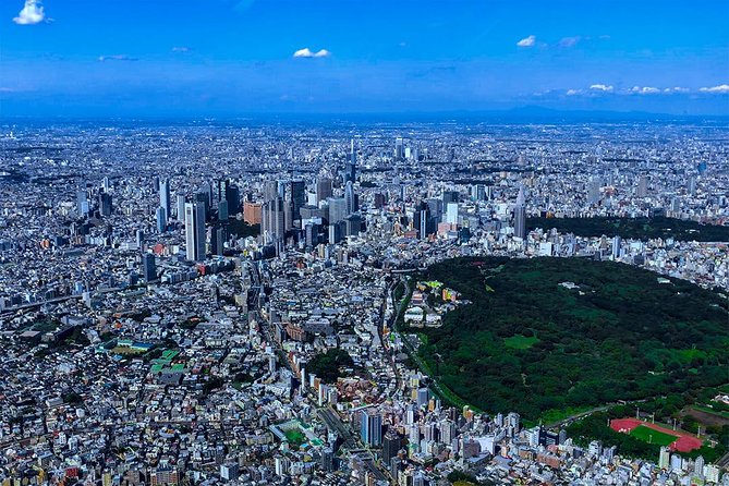 75-Min Mt. Fuji Half Day Private Helicopter Tour - Price, timing, and practical value