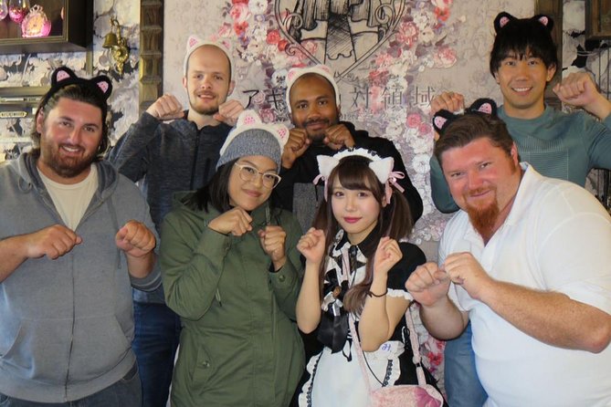 Akihabara Anime & Game Adventure Walking Tour (Group or Private) - Why a Guide Helps in Akihabara