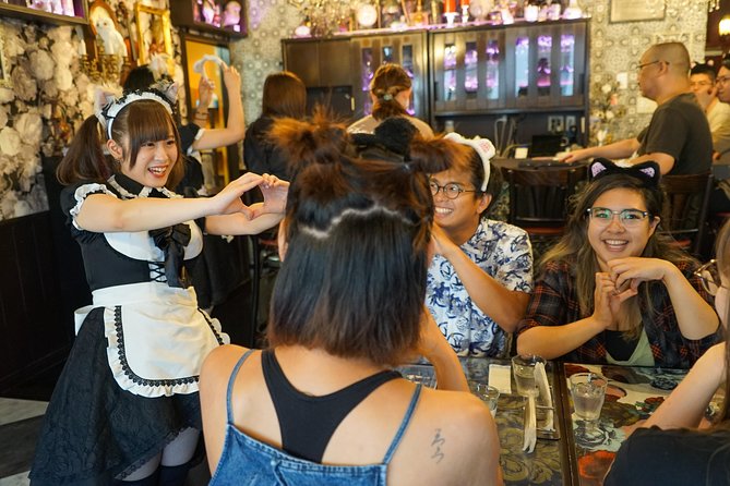 Akihabara Anime & Game Adventure Walking Tour (Group or Private) - Akiba Cultures Zone and the Anime Store Circuit