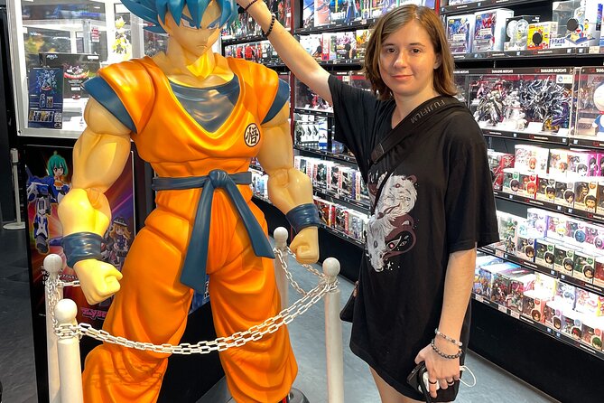 Akihabara Otaku Group Tour - Why Akihabara benefits from a guide